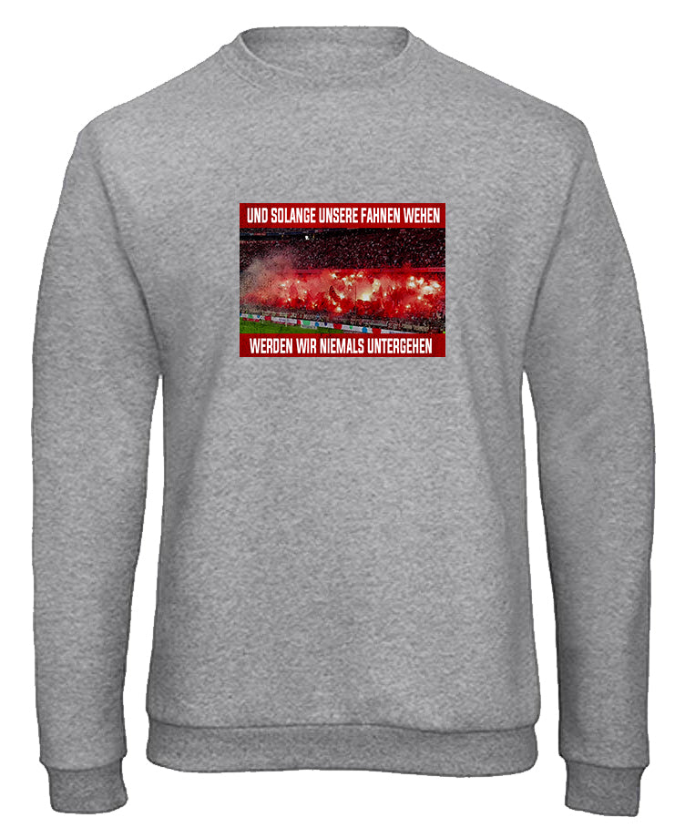 Sweatshirt "Pyro"