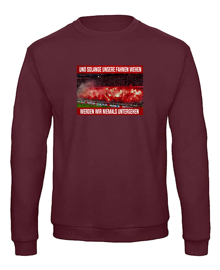 Sweatshirt "Pyro"