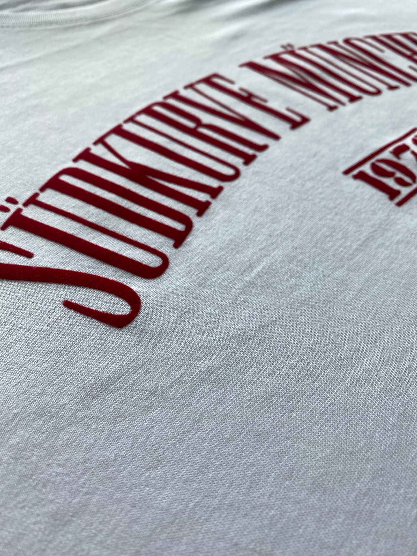 T-Shirt „Südkurve München Oldschool“