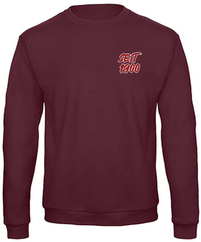 Backprint Sweatshirt "Skyline"