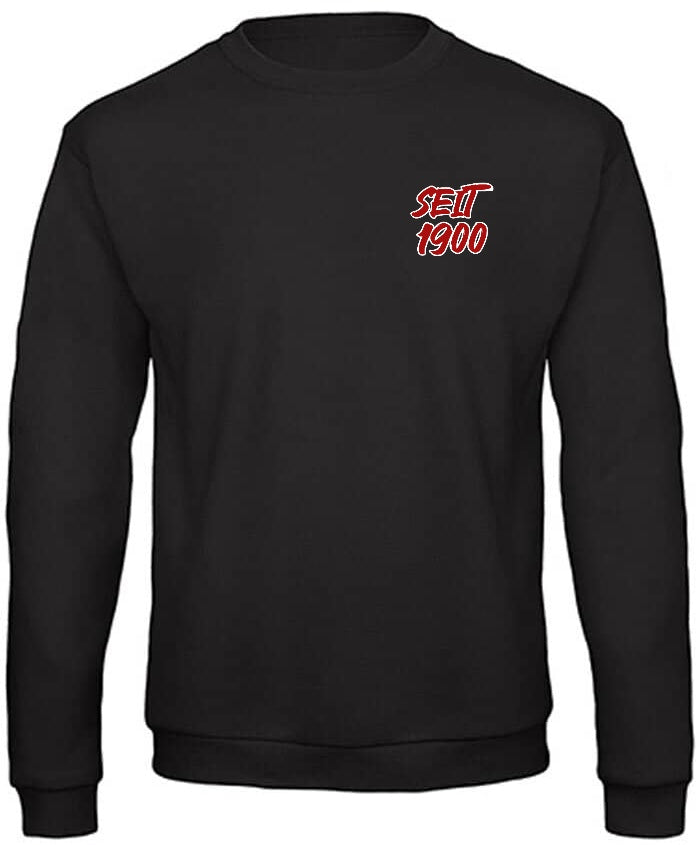 Backprint Sweatshirt "Skyline"