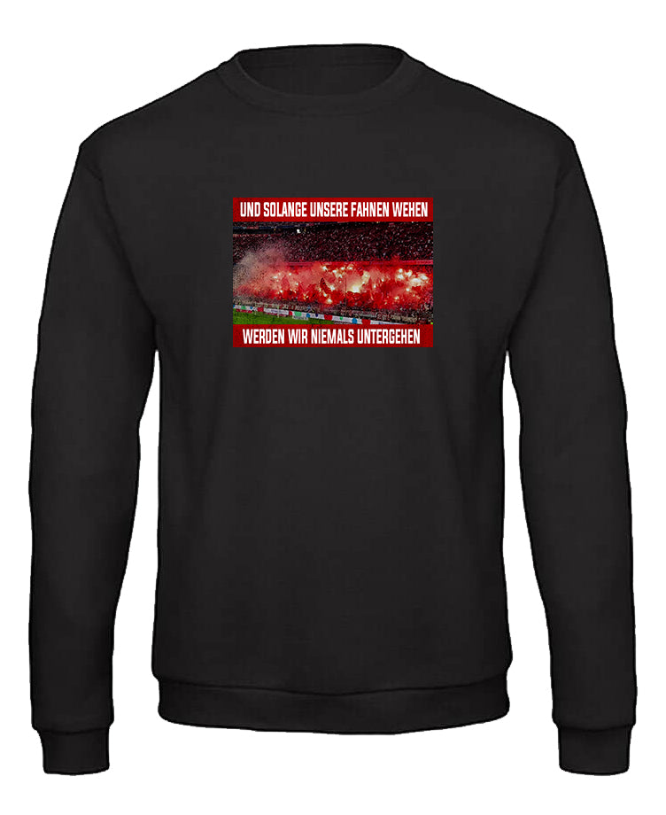 Sweatshirt "Pyro"